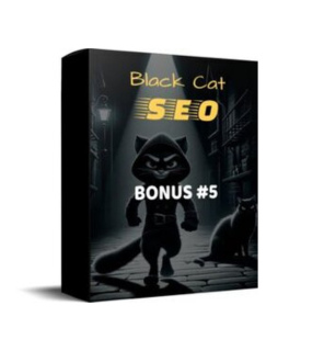 Black Cat SEO